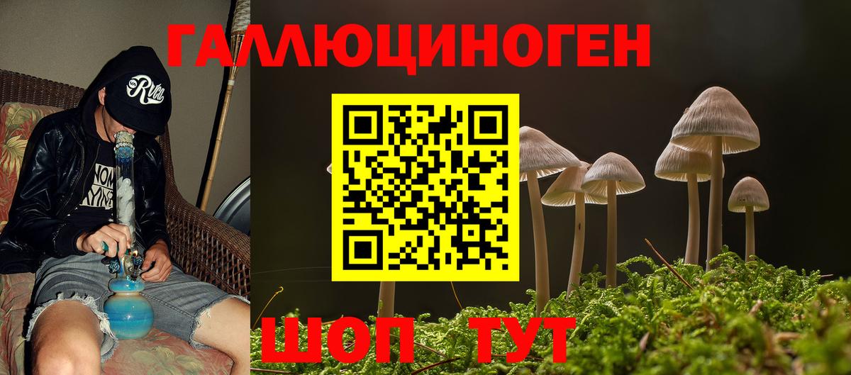 Майкоп  Псилоцибиновые грибы Psilocybe  Вход с VPN 