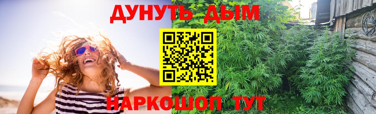 Каннабис конопля  Вход с VPN  Конопля план  Майкоп 